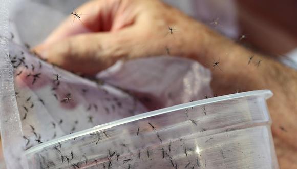 Brasil registra la peor epidemia de dengue en su historia. (Foto: REUTERS/Paulo Whitaker)