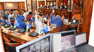 Bolivia: la ley que fija plazo para elecciones y busca frenar caóticos bloqueos