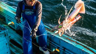 Unas 17 empresas peruanas presentaron sello de garantía de pesca de pota en España
