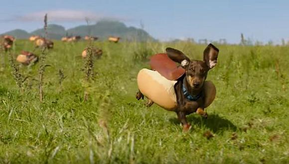 Super Bowl 2016: Heinz apuesta por una publicidad de perros vestidos como hot dogs. (Captura de video)