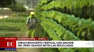 Utilizan botellas recicladas para crear el biohuerto más grande del Perú