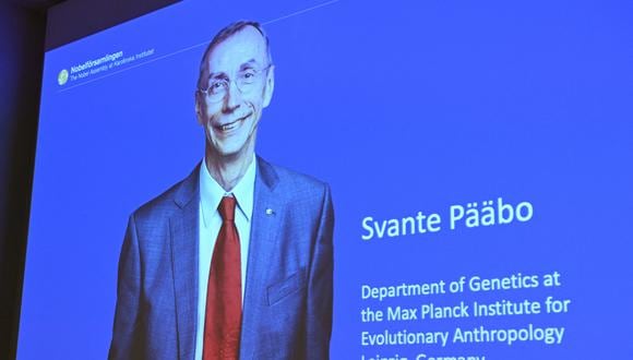 Una pantalla muestra al ganador del Premio Nobel de Fisiología o Medicina 2022, el sueco Svante Paabo, durante una conferencia de prensa en el Instituto Karolinska en Estocolmo, Suecia, el 3 de octubre de 2022. (Foto de Jonathan NACKSTRAND / AFP)