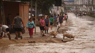 Alcalde de San Juan de Lurigancho señala que solo 12 familias "lo han perdido todo" por desborde de río Huaycoloro