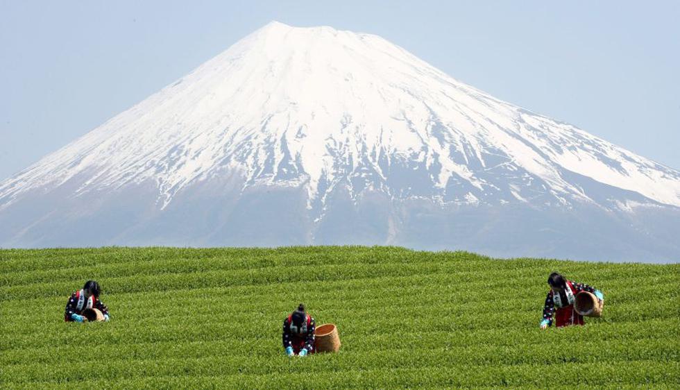 El monte Fuji, un volcán que con sus 3.776 metros de altura es la montaña más alta de Japón. (AFP)