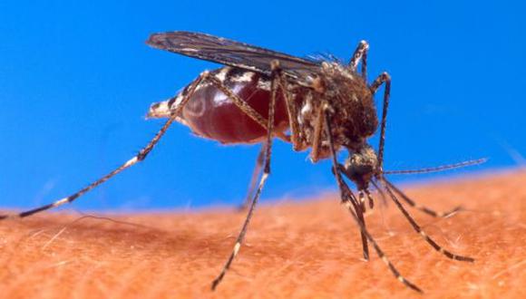El dengue sigue cobrando vidas en Piura.