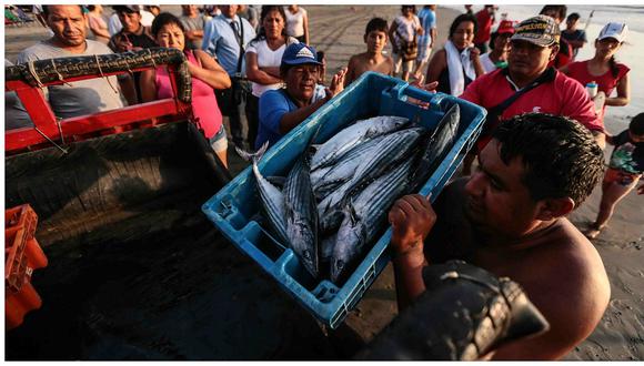 En el primer semestre de este año, las exportaciones de productos pesqueros y acuícolas tuvieron una caída de 40% respecto del mismo periodo del 2019. (FOTO: GEC)