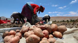 Conveagro solicita fondo de salvataje para evitar la quiebra de más de 660 mil familias agricultoras