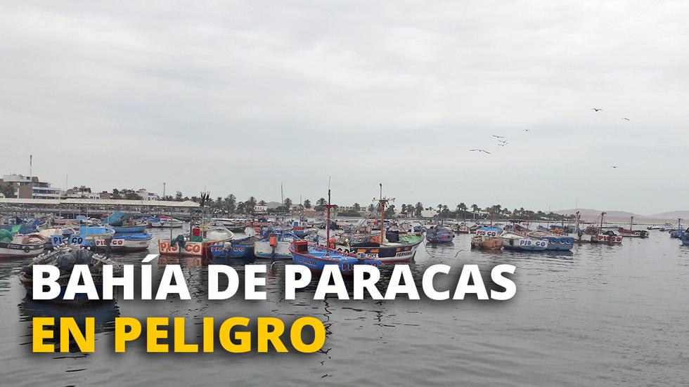 Bahía de Paracas en peligro