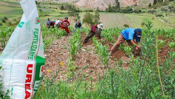 Nuevo informe de la Contraloría revela más observaciones a compra de fertilizantes para asegurar la campaña agrícola 2022-2023. (Foto: Agro Rural)