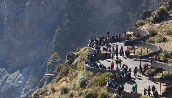 En el Valle del Colca se vive la experiencia única del vuelo majestuoso del Cóndor. (Foto: Promperú)