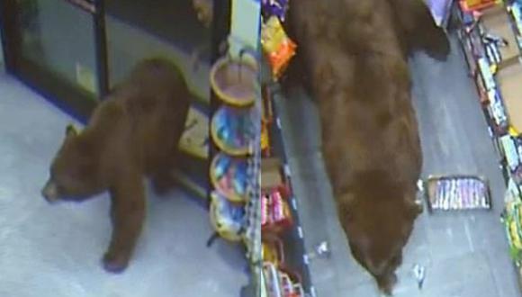 Un video viral muestra las inesperadas visitas de osos a dos establecimientos en California. | Crédito: CBS Miami / YouTube.