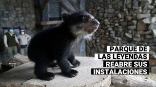 Parque de las Leyendas reabre sus puertas: Sepa cómo apoyar al emblemático zoológico de Lima