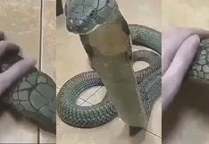 Hombre asegura que con "ataque de ternura" dominó al 'rey cobra' [VIDEO]