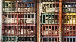 Sunat intervino más de seis toneladas de pollos vivos en Rímac y Ancón