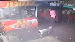 YouTube: Hombre que intentó agredir a perro indefenso recibió su merecido
