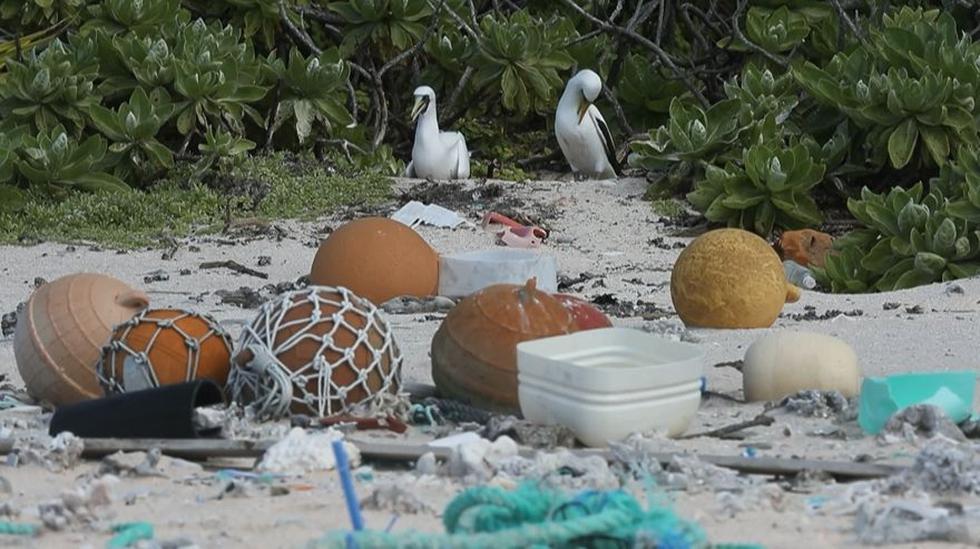 La isla Henderson: De paraíso en la Tierra a depósito natural del plástico del mundo. (AFP)