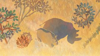 Google recuerda con un doodle a Sudán, el último rinoceronte blanco macho del norte