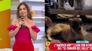 “Me comprometo a ayudar a ese perrito”: Janet Barboza se solidarizó con animalito afectado por el huaico