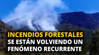 Wili Reaño: Incendios forestales se están volviendo un fenómeno recurrente