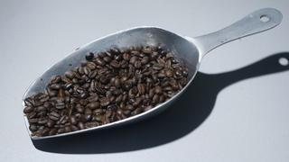 Exportaciones de café retroceden 69%