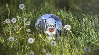 Bundesliga: el estímulo que generará el regreso del torneo, según el psicólogo de la federación alemana