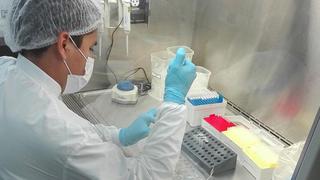 Vacuna peruana contra el COVID-19: Universidad Cayetano Heredia aclaró que no ha aprobado pruebas en humanos
