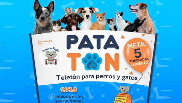 Este domingo 5 de mayo se realizará la "Patatón 2019", conocida como la 'Teletón' en favor de perros y gatos en estado de abandono. (Foto: Municipalidad de Surquillo)