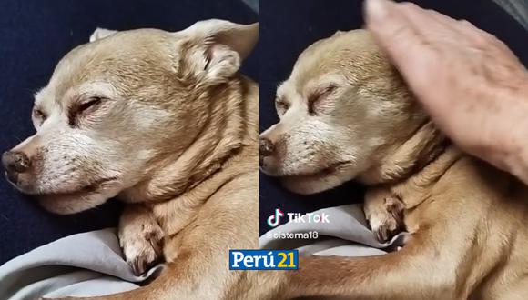 Viral. Ancianita se despide de su perrito enfermo. (Composición Perú21)