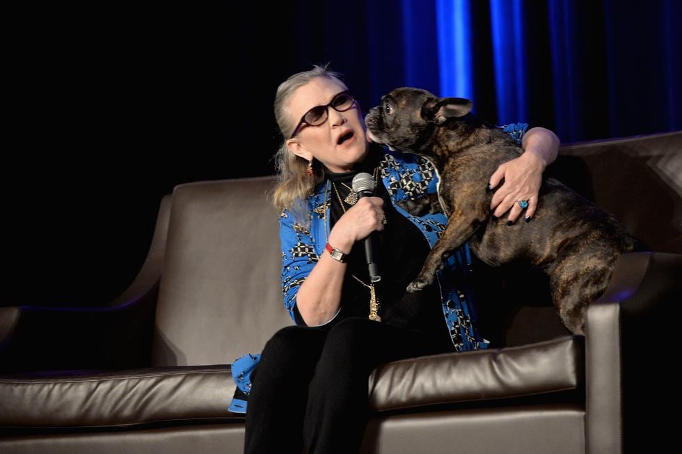 El perro Gary es recordado por todos los fanáticos "Star Wars" por ser la mascota de Carrie Fisher. (Foto: AFP)
