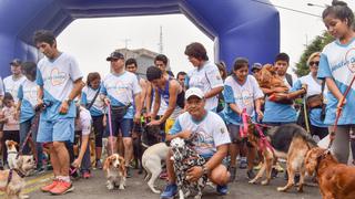 Jesús María: Más de mil perritos participaron de la maratón canina en el Campo de Marte [Fotos]