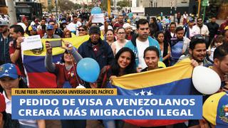 Feline Freier: "Pedido de visa a venezolanos creará más migración ilegal"