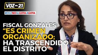 Fiscal Carmen Gonzales sobre megabanda ‘Los soldados del norte’: “Es crimen organizado. Ha trascendido el distrito”