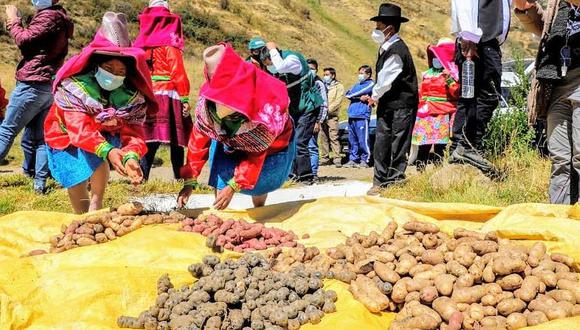La restricción a los productos peruanos es porque autoridad sanitaria de Bolivia no puede inspeccionar importaciones por fallas en sus sistemas informáticos, dijo el Senasa. (Foto: GEC)