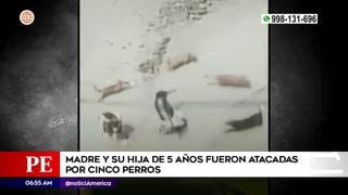 San Juan de Lurigancho: Madre de familia y su hija sufren brutal ataque de cinco perros [VIDEO]
