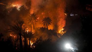 Foro Económico Mundial: Incendios forestales cuestan US$50,000 millones al año