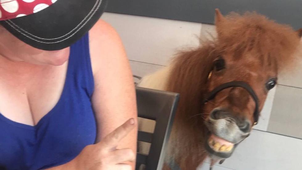El 15 de junio del 2018, una mujer entró en un restaurante First Watch, en Ocala, con su caballo de miniatura. (Foto: Restaurantes First Watch)