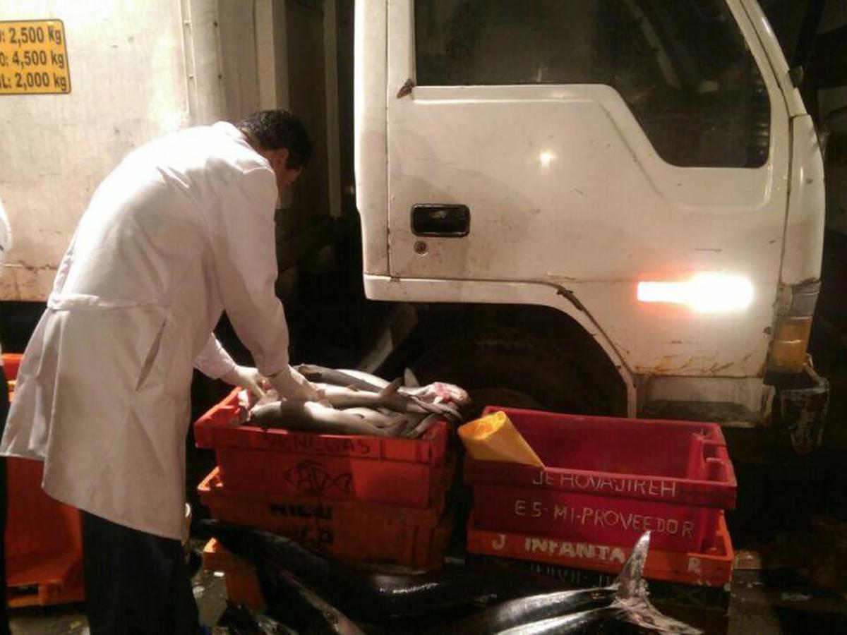 Trujillo: Venden pescado congelado en mercados a causa de los oleajes  anómalos - Exitosa Noticias