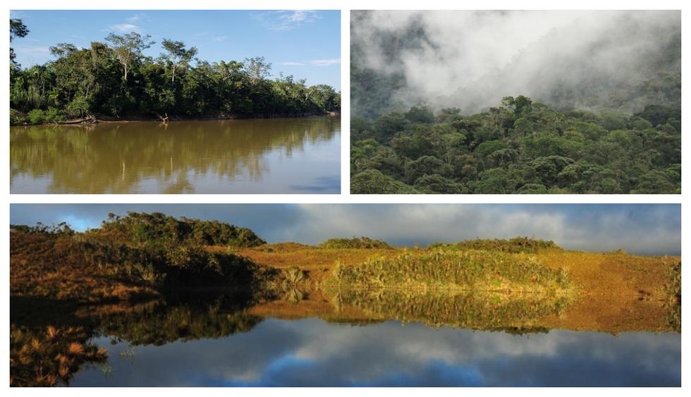 Tres nuevas áreas de conservación privada reconocidas en Madre de Dios, Cajamarca y Amazonas. (Foto: Sernamp)
