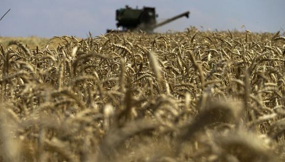 (ARCHIVOS) Esta fotografía de archivo tomada el 31 de julio de 2022 muestra una cosechadora de granos recolectando trigo cerca de Novoazovsk en las afueras de Mariupol, en medio de la acción militar rusa en curso en Ucrania. (Foto por AFP)