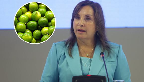Despacho de Dina Boluarte compra tres toneladas de limón de calidad extra. (Foto: Presidencia / Andina)