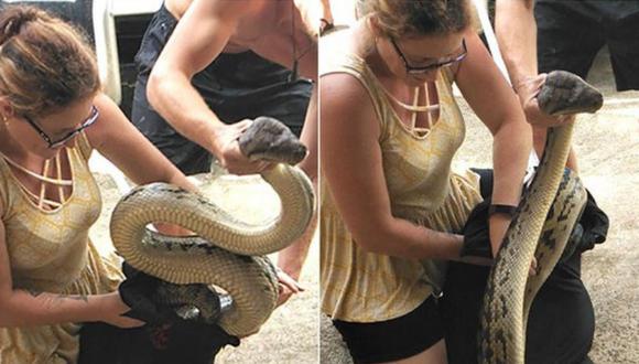 Una serpiente pitón gigante fue hallada en la lavandería de una casa en Australia, donde esta clase de descubrimientos son el pan de cada día. (Foto: UNILAD en Facebook)