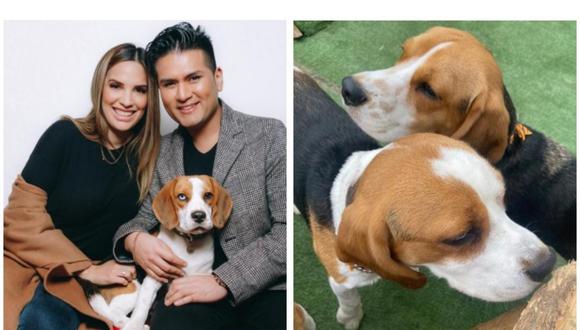 La pareja se pronunció mediante redes sociales donde desmintieron a Magaly Medina asegurando que los perros que mostraron en su reportaje no eran sus mascotas.
