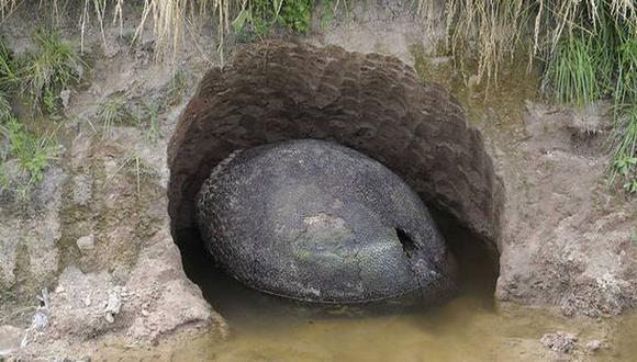 Extraño 'objeto fue encontrado en un arroyo en Argentina. (Maxi Failla/Clarín)