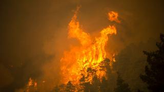 Las estremecedoras imágenes de los incendios en Grecia, que ya están “controlados” [FOTOS]