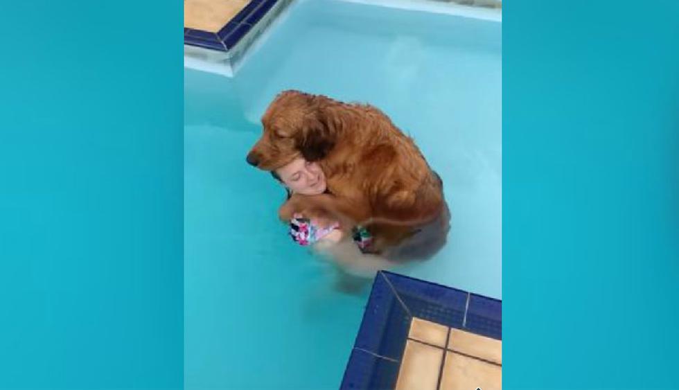 El perro, aparentemente, se sentía muy cómodo en la piscina. (YouTube: ViralHog)