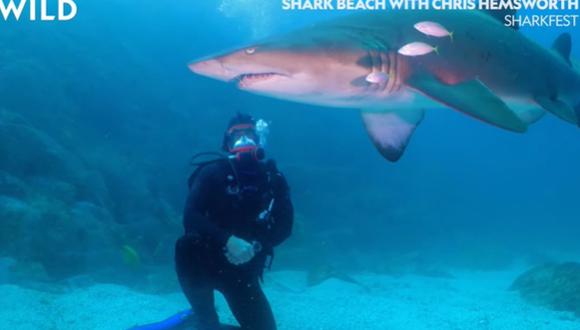 Chris Hemsworth investigará los ataques de tiburones en National Geographic. (Foto: Captura de YouTube)