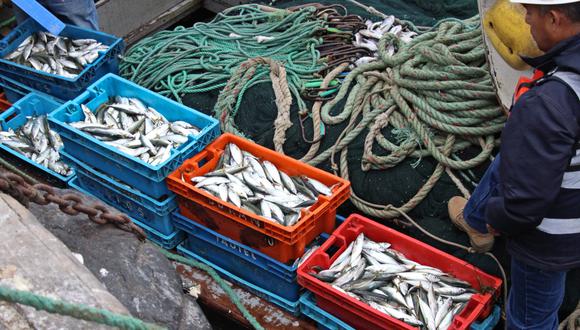 El sector pesquero fue el de mayor retroceso en mayo.
