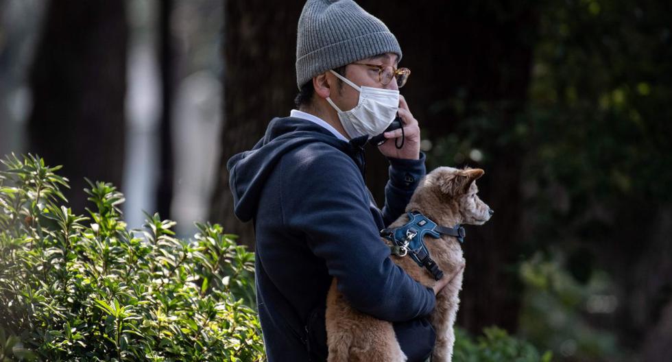 Las autoridades de Hong Kong aseguraron que el perro está actualmente en cuarentena y no muestra síntomas. (AFP).