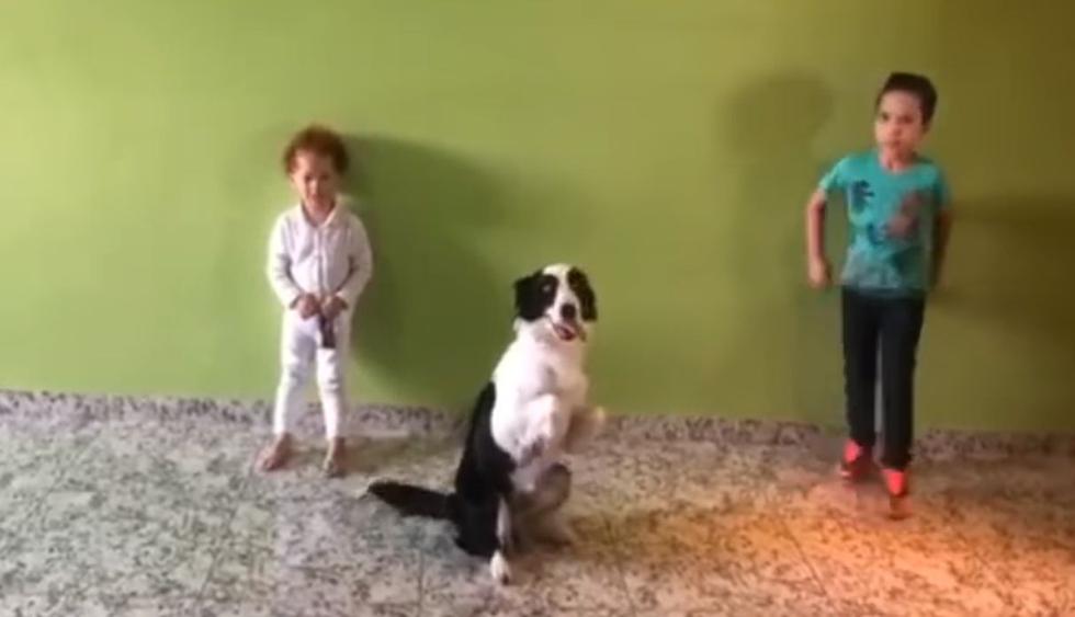 En Facebook se hizo viral el video de unos niños que bailan junto a su perro. El popular reto "Pipiripom Challenge" arrasa en las redes sociales. (Foto: Captura)