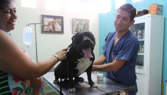 El horario de atención del centro veterinario es de lunes a viernes de 8 a.m. hasta 5 p.m. (Foto: Facebook Municipalidad del Callao)